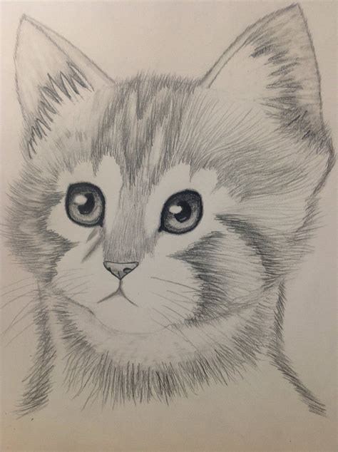 41 Easy Pencil Drawings Of Animals .